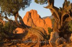 Garden of the Gods, sunrise, Colorado Springs, Colorado